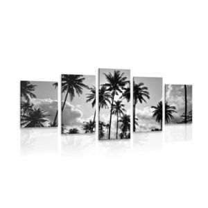 5 részes kép kókusz pálmafák a tengerparton fekete fehérben kép
