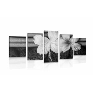 5 részes kép wellnes csendélet fekete fehérben kép
