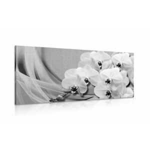 Kép orchidea vásznon fekete fehérben kép