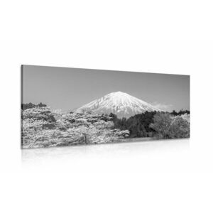 Kép Fuji hegy fekete fehérben kép