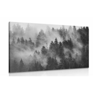 Kép hegyek ködben fekete fehérben kép
