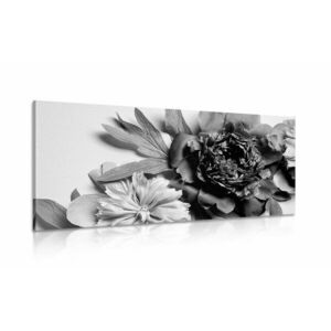 Kép pünkösdi rózsák fekete fehérben kép