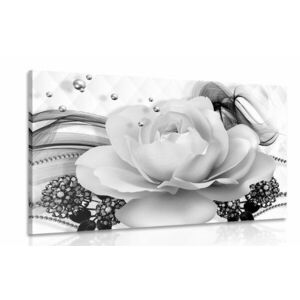 Kép fényűző rózsa absztrakció fekete fehérben kép