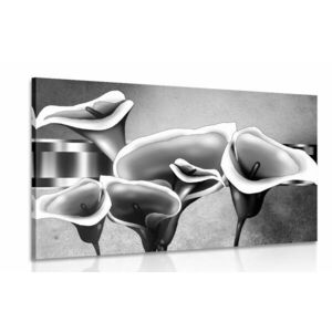 Kép elegáns kála virágok fekete fehérben kép