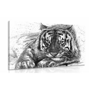 Kép trigris fekete fehérben kép