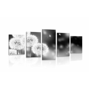 5 részes kép bolyhos pitypang fekete fehérben kép