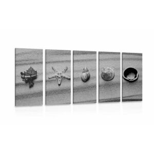5-részes kép tengeri kagylókból a homok tengerparton fekete fehérben kép