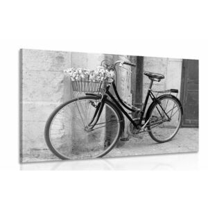 Kép falusias bicikli fekete fehérben kép