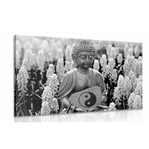 Kép Buddha jing jang szimbólummal fekete fehérben kép