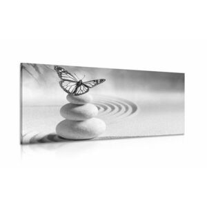 Kép kövekés lepke egyensúlya fekete fehérben kép