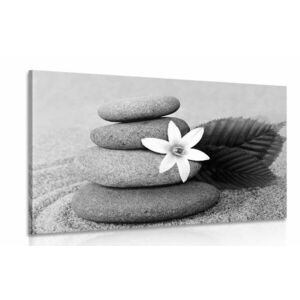 Kép virág és kövek fekete fehérben kép