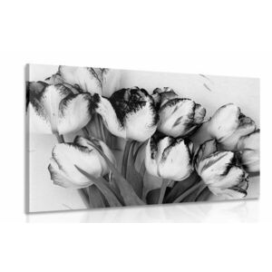 Kép tavaszi tulipánok fekete fehérben kép