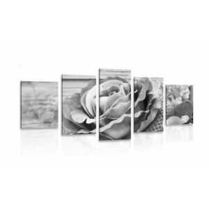 5-részes kép elegáns vintage rózsa fekete fehérben kép