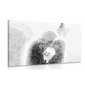 Kép szerelmes pár fagyöngy alatt fekete-fehér változatban kép