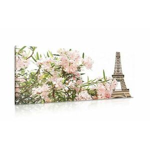 Kép Eiffel torony és rózsaszínű virágok kép