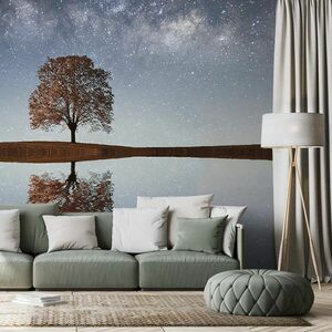 Fotótapéta csillagos ég egy magányos fa felett kép