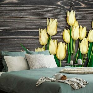 Fotótapéta sárga tulipán fa háttéren kép