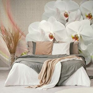 Tapéta fehér orchidea vásznon kép