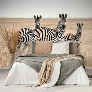 Fotótapéta három zebra a szavannán kép