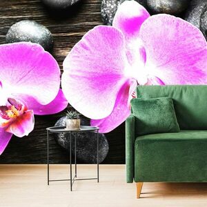Fotótapéta gyönyörű orchidea és kövek kép