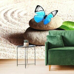 Fotótapéta kék pillangó a zen kövön kép