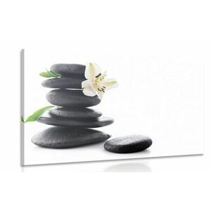 Kép Zen kő liliommal kép