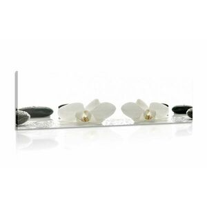 Kép fehér orchidea virágok kép