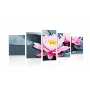 5 részes kép lótusz virág tóban kép