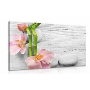 Kép bambusz, orchidea, fehér kő összhatása kép