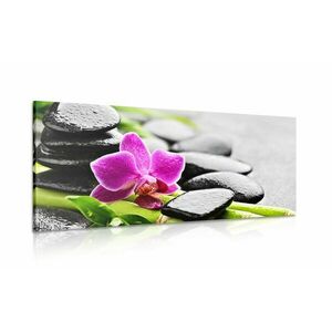 Kép wellness összeállítás lila orchideával kép