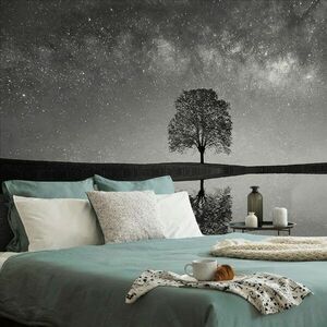 Fotótapéta fekete-fehér csillagos ég egy magányos fa felett kép