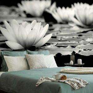 Fotótapéta fekete fehér lótusz virág kép