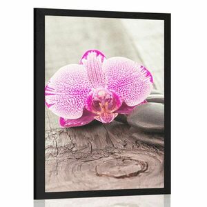 Poszter paszportuval orchidea és Zen kövek fa háttéren kép