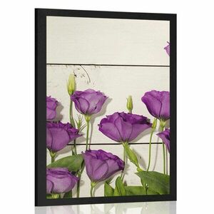 Poszter csodás lila virágok kép