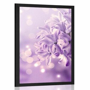 Poszter lila orgona virág kép
