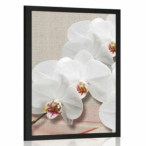 Poszter fehér orchidea vásznon kép