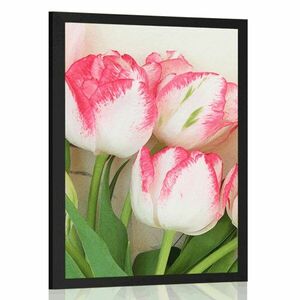 Poszter tavaszi tulipánok kép