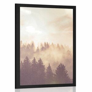 Poszter köd az erdő felett kép
