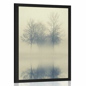 Poszter fák a ködben kép