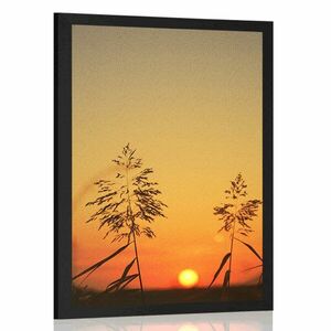 Poszter fű szállak naplementénél kép