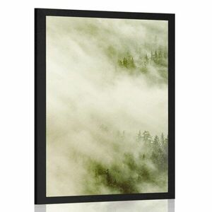 Poszter erdő ködben kép