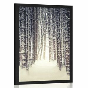 Poszter hóval borított erdő kép