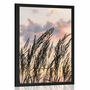 Poszter fű szállak a naplementében kép