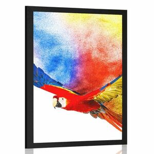 Poszter a papagáj repülése kép