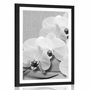 Poszter paszsportuval orchidea vásznon fekete fehérben kép