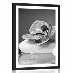 Poszter paszpotuval orchidea és Zen kövek fekete-fehérben kép