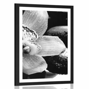 Poszter paszportuval exotikus orchidea fekete fehérben kép