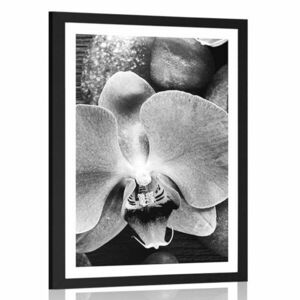 Poszter paszportuval csodás orchidea és kő fekete fehérben kép