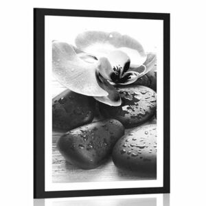 Poszter paszportuval kövek és orchideák varázslatos összjátéka fekete-fehérben kép