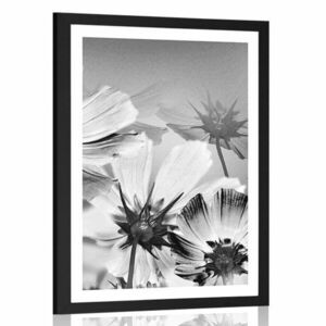 Poszter paszportuval kerti virágok fekete fehérben kép